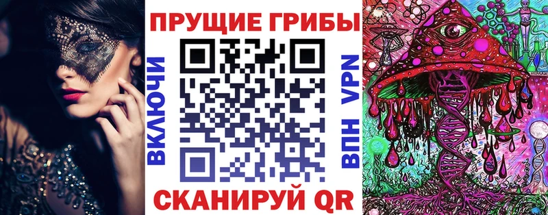 Купить закладки  Можга  Галлюциногенные грибы MAGIC MUSHROOMS 