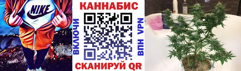 Купить Можга Канабис MAZAR